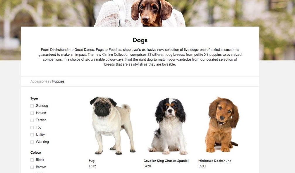 'Canine Collection' Lyst - Best PR Stunt Ideas - Stylight Blog