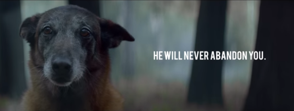 Sad looking dog with "He will never abandon you" banner